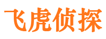 安国侦探公司